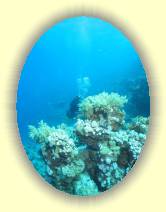IMG_2007_05_26 18_47_34 * 1662 x 2219 * (495KB)